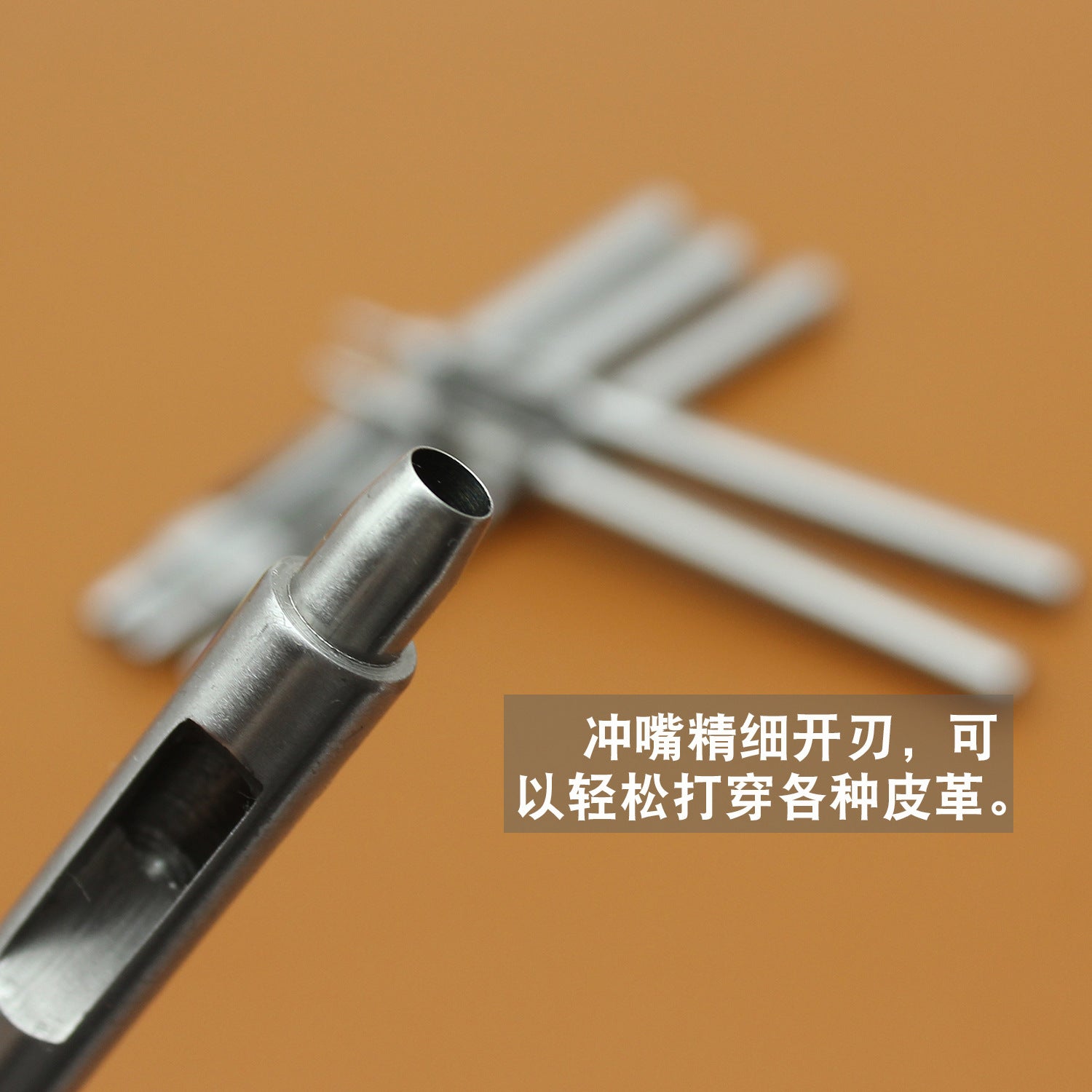 Close-up hole punch head with hollow cutting tube on a silver steel round punch tool